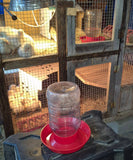 IMPECKABLES DRINKER BASE RED JAR NOT INCLUDED SUGGESTED JAR TO USE MIRACLE WHIP JAR