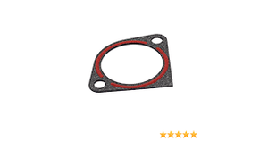 273326S GASKET-OIL GUARD BRIGGS