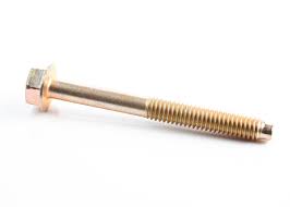 690904 SCREW BRIGGS