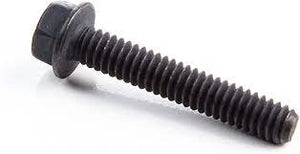 691092 SCREW BRIGGS