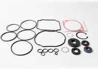 050-8000-00 SEAL KIT FOR PG, PJ, PK BAD BOY