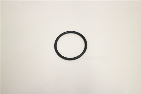 782995 SMALL O--RING  3  INCH PUMP NORTHSTAR