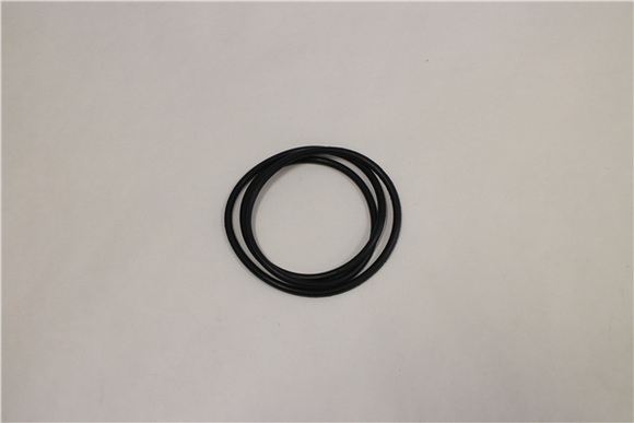 793713 LARGE O-RING 3