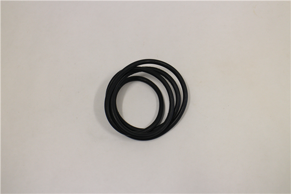 793727 LARGE O-RING 4