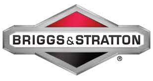 77395GS NUT BRIGGS AND STRATTON BPW14/WH4