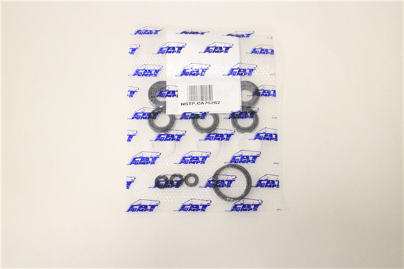 CA76262 SEAL KIT 67DX PUMP NORTHSTAR/CAT