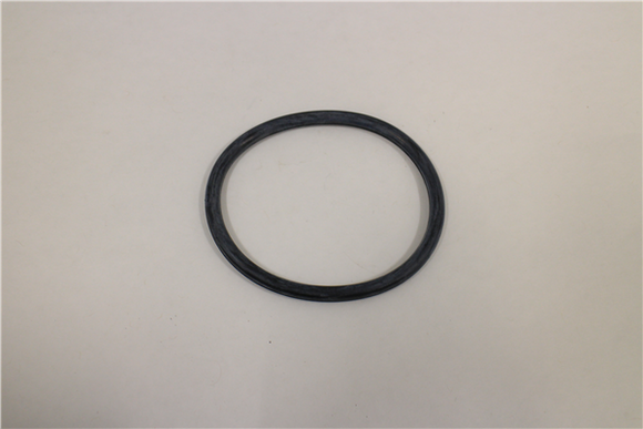 IZ0113989 SMALL O-RING   3 INCH PUMP NORTHSTAR
