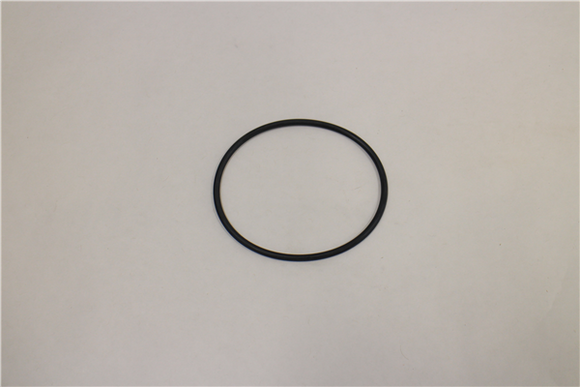 IZ0115676 O-RING 3 INCH PUMP NORTHSTAR NS8/WH2T