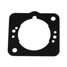 V100000080 CYLINDER GASKET LITTLE WONDER