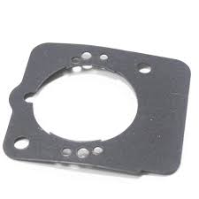 V100000160 CYLINDER GASKET LITTLE WONDER