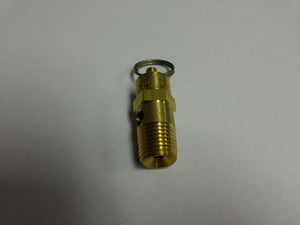 E102611 SAFETY VALVE SANBORN