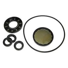 AR2787    OIL SEAL KIT   AR NO AMERICA