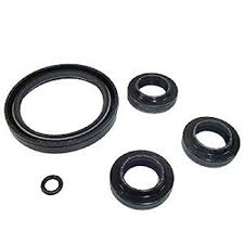 2797 OIL SEAL KIT AR PUMP