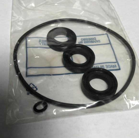 AR 2511 OIL SEAL KIT AR NO AMERICA