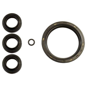 AR2797 OIL SEAL KIT AR NO AMERICA