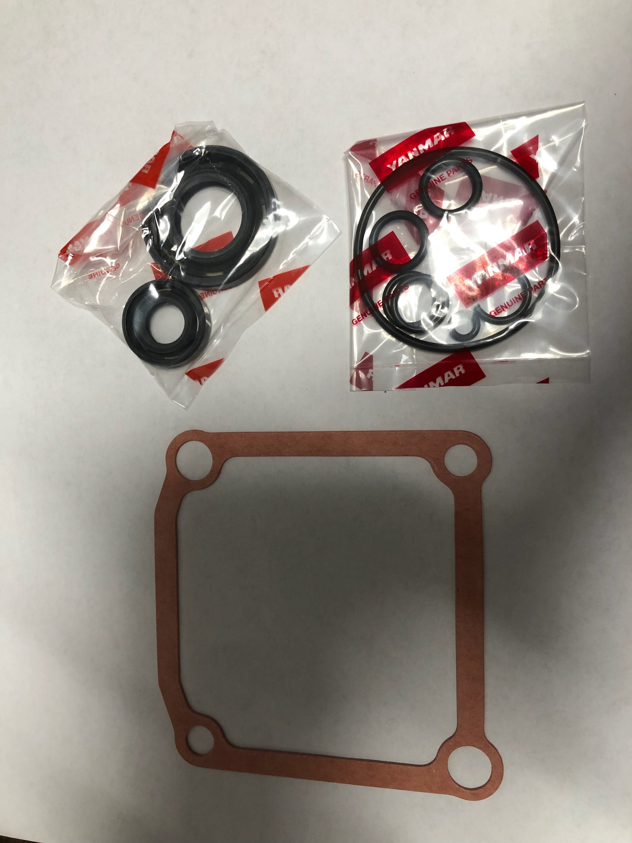 Fantic Motor Chopper 50 TX 13.0 catalogo ricambi TELAIO originale Fantic Motor Chopper 50 TX 13.0 catalogo ricambi TELAIO originale